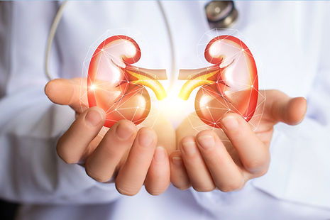 Kidney Health